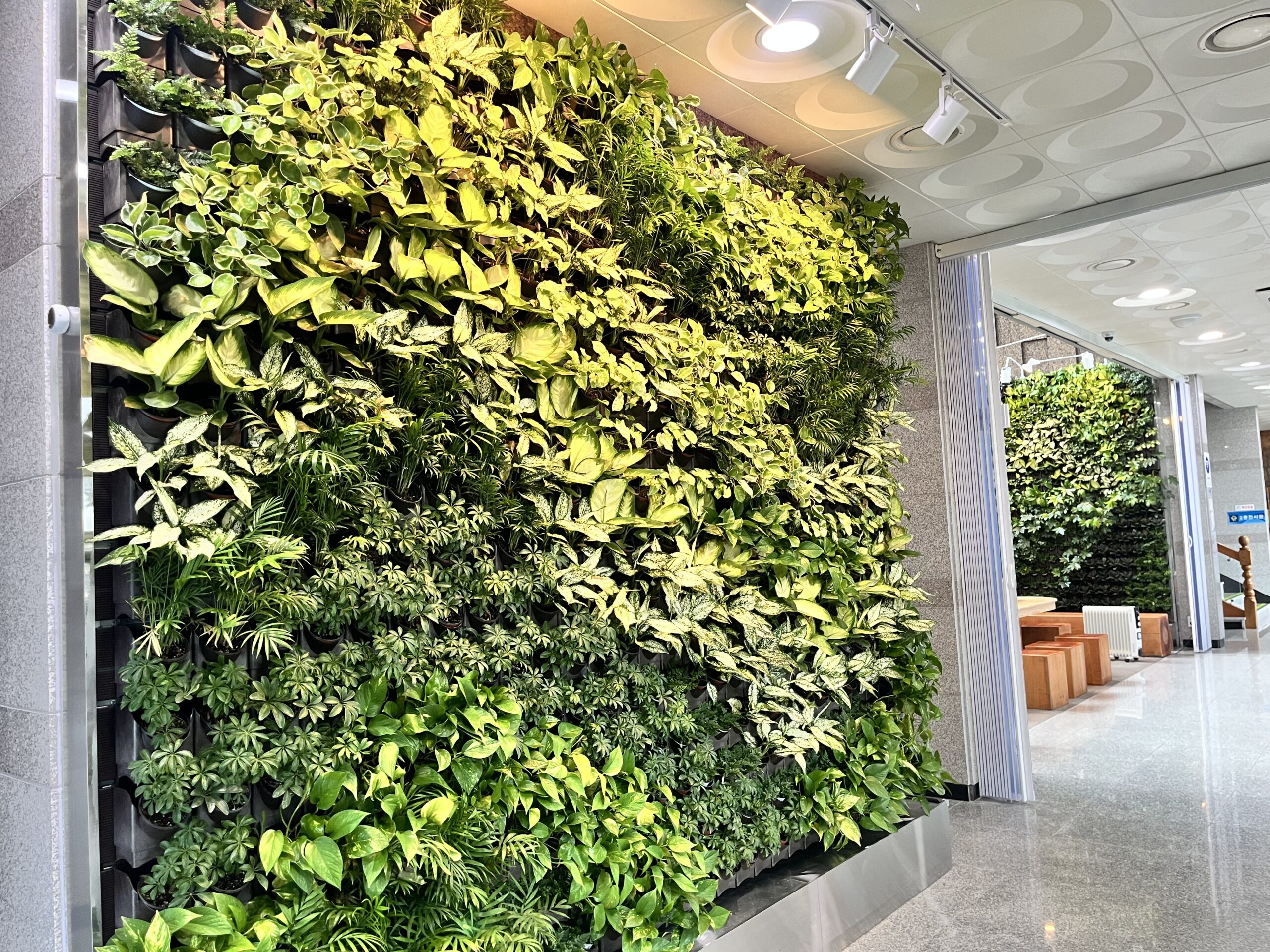 GREEN WALL 시공