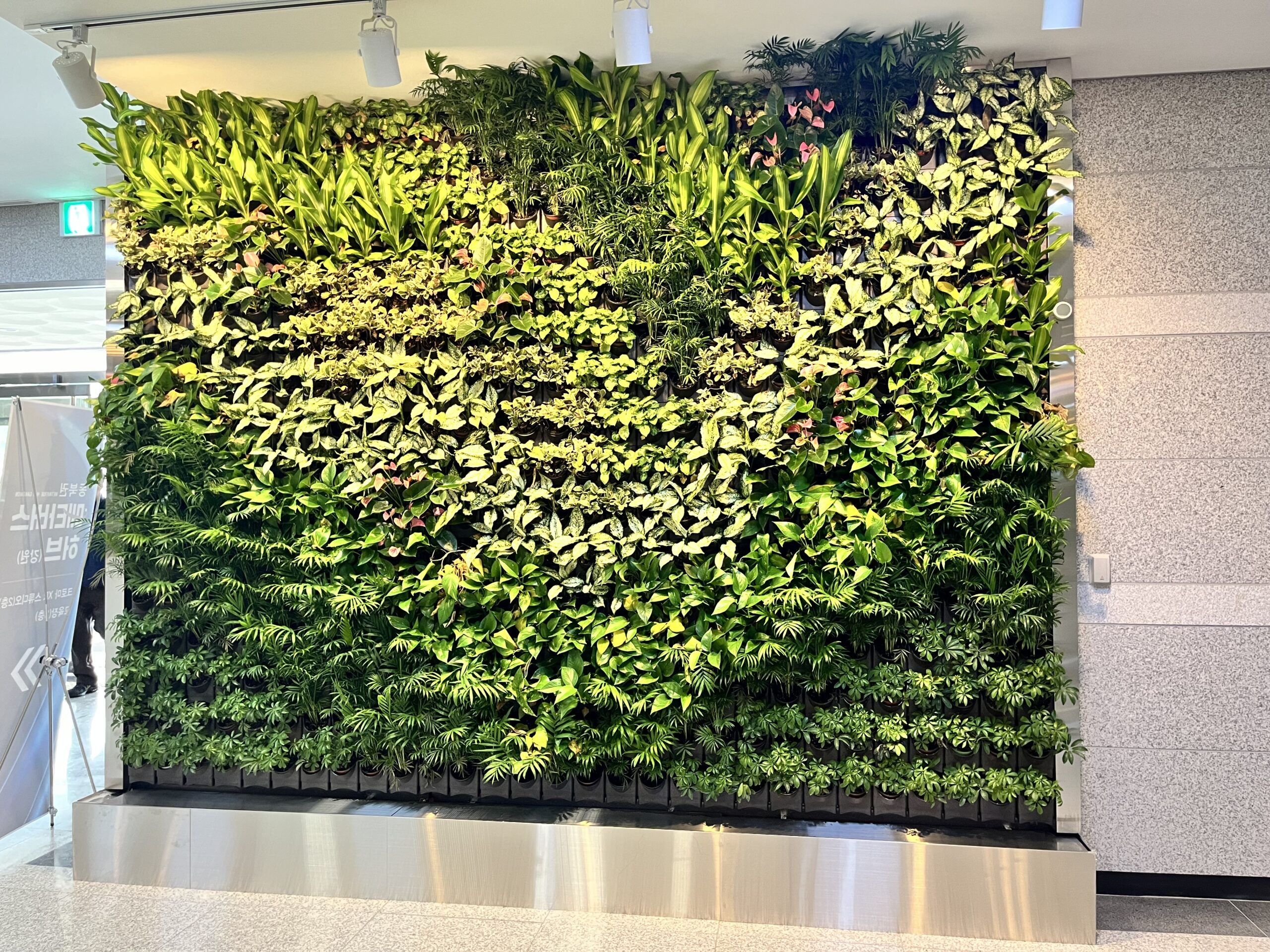 GREEN WALL 시공