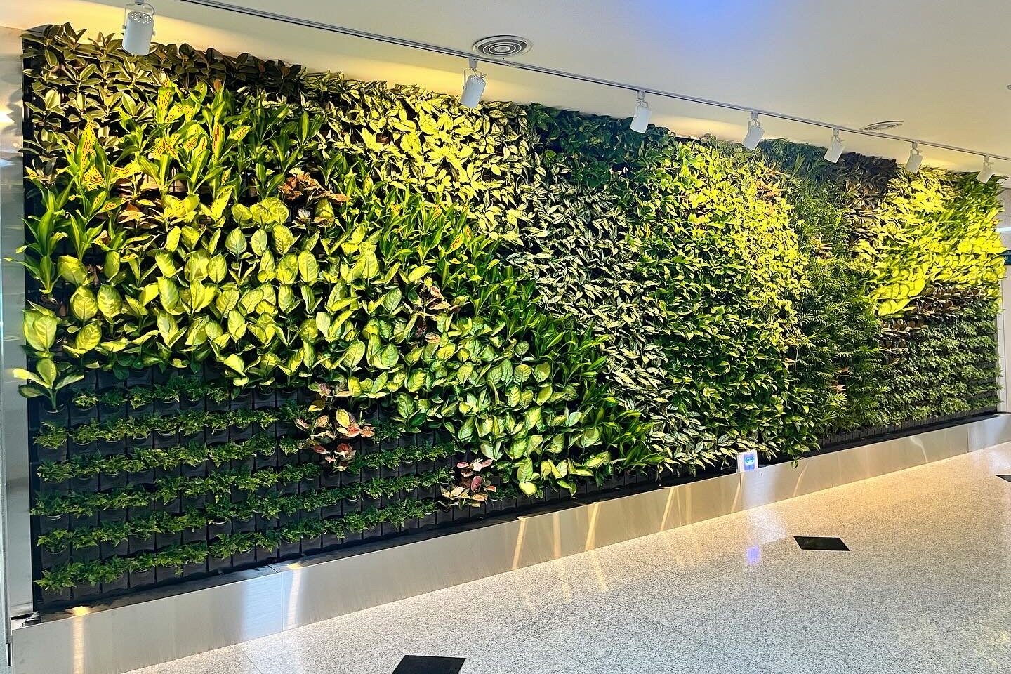 GREEN WALL 시공