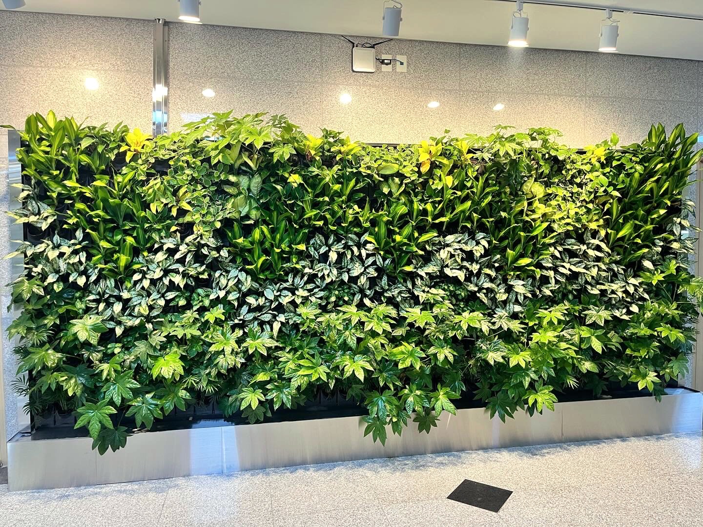 GREEN WALL 시공