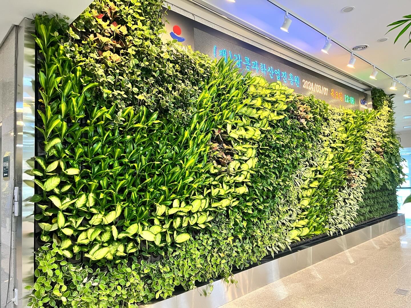 GREEN WALL 시공